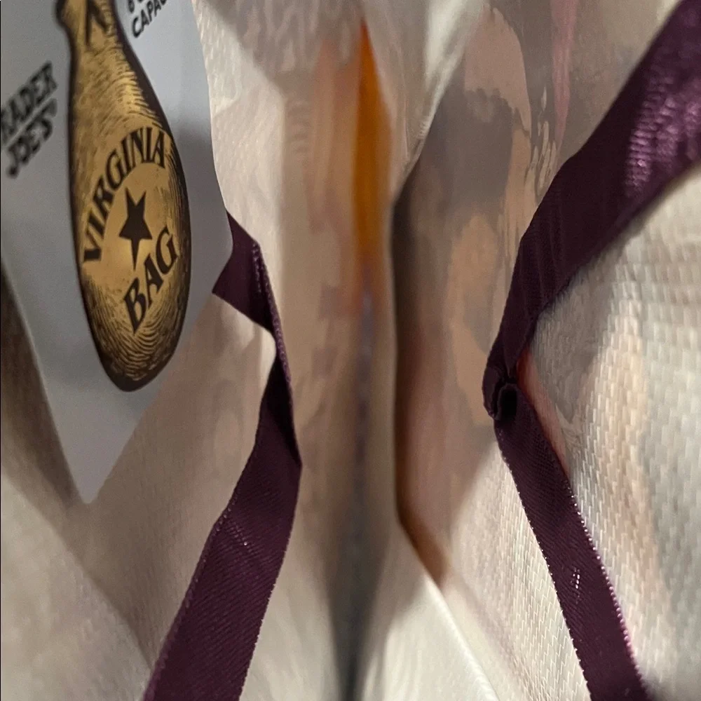 Trader Joe’s Multicolor Tote shopping Bag